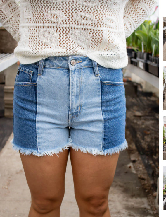 Kancan 2 Tone Denim Shorts