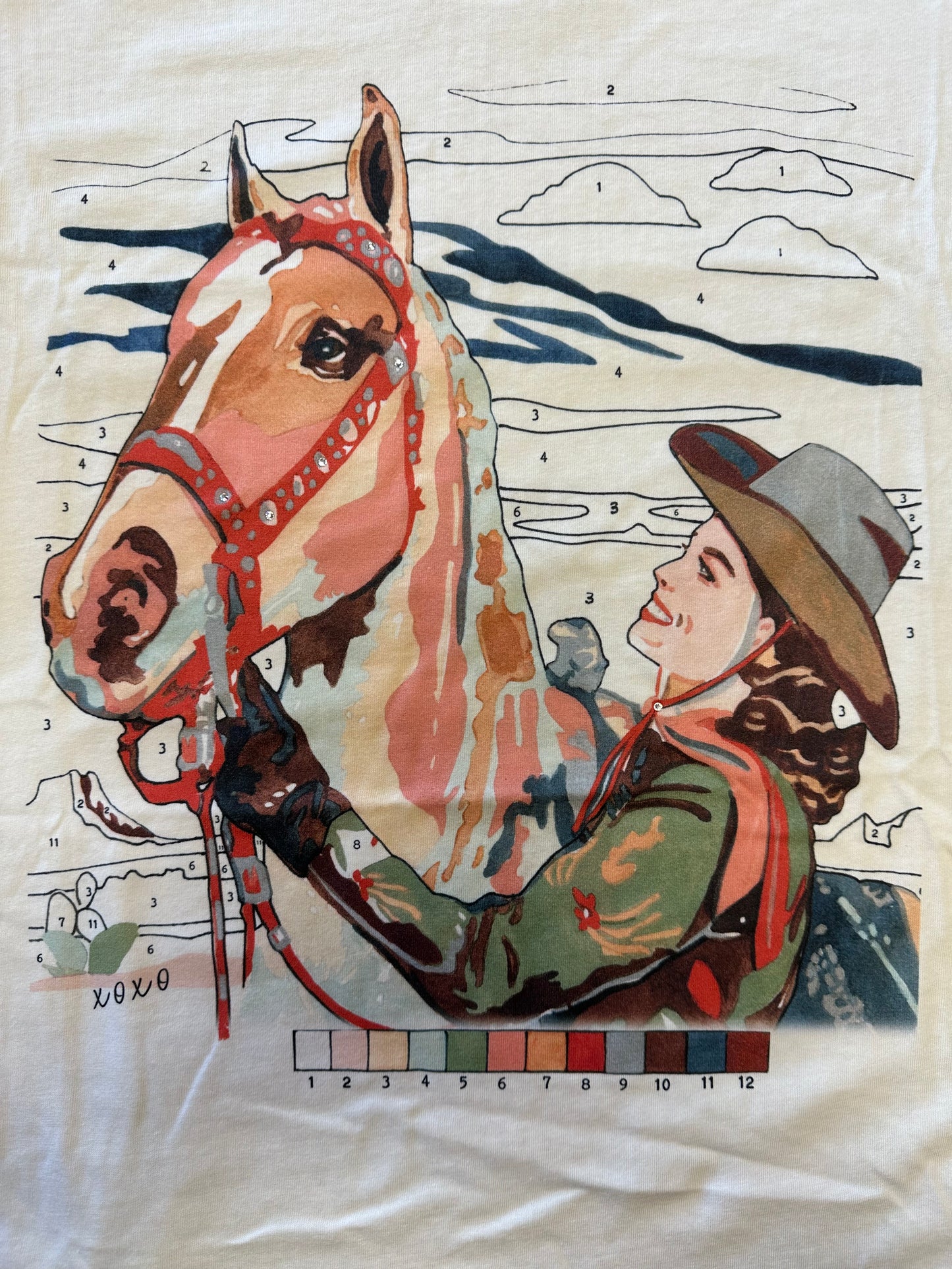 Paint By Numbers Cowgirl Tee