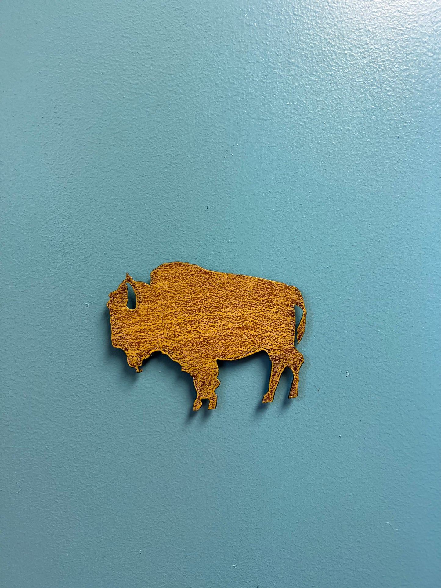 Buffalo Magnets