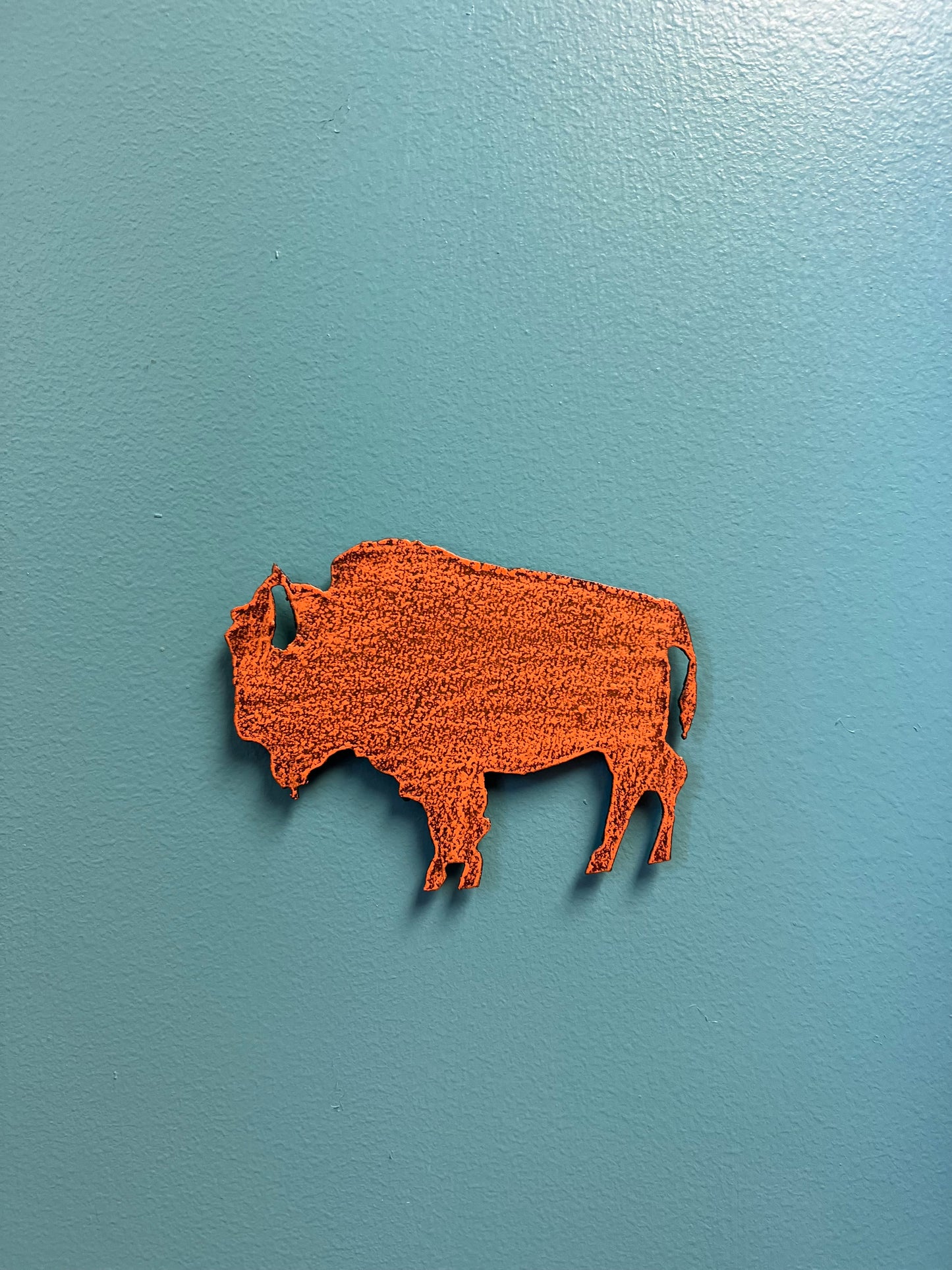 Buffalo Magnets