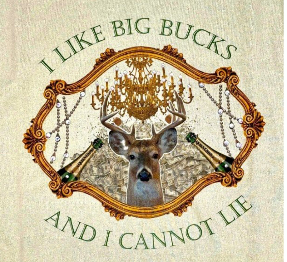 I Like Big Bucks Pullover