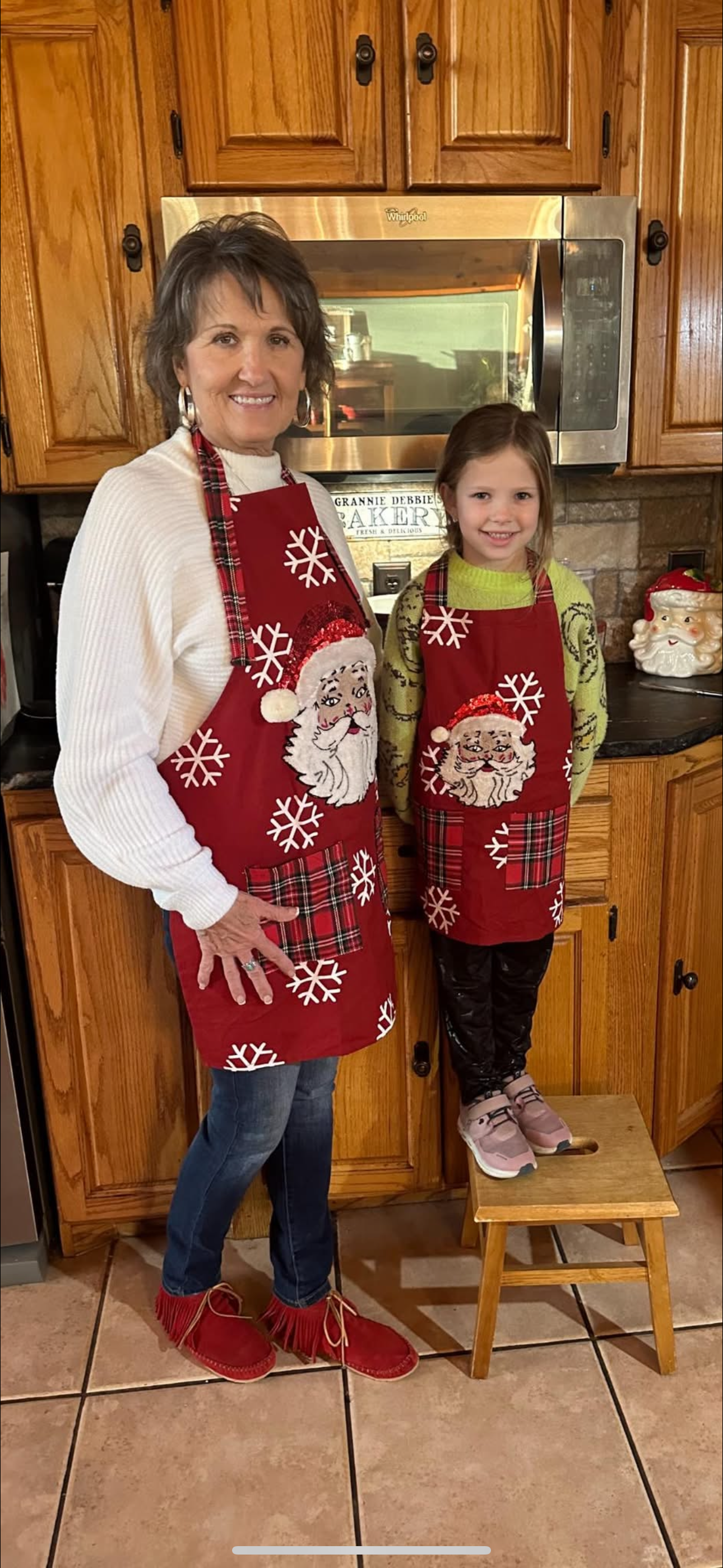 Santa Apron